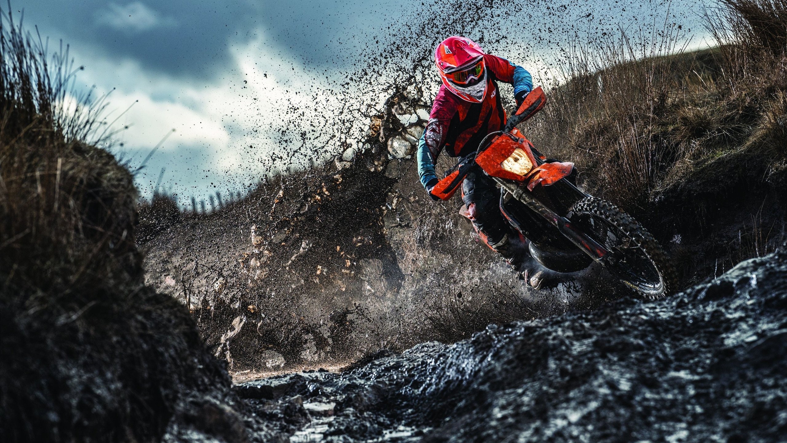 综合体育系“多学院联合运动会” 首次牵手兄弟学院共办赛事